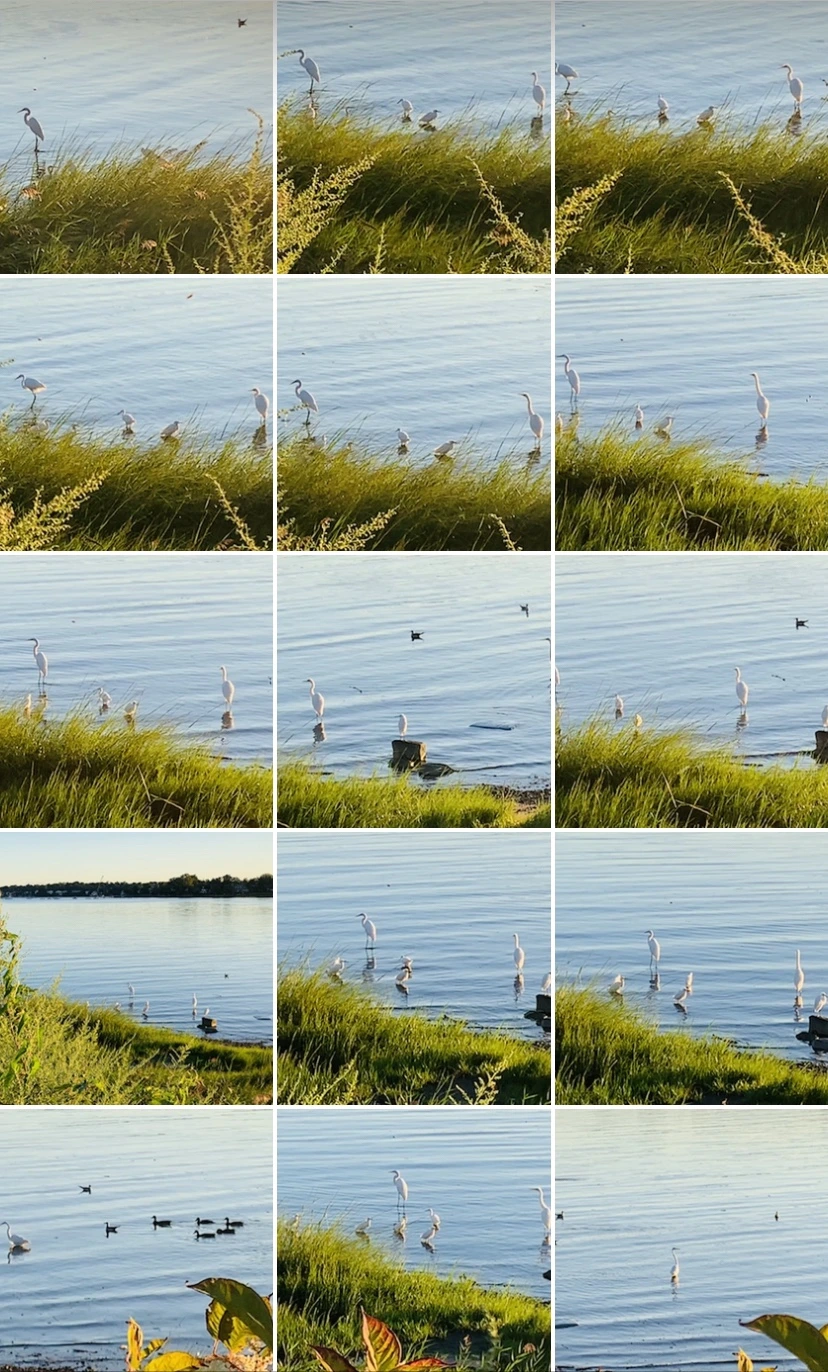 IMG_7210.jpg?type=w966