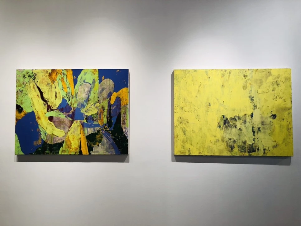 IMG_8997.jpg?type=w966