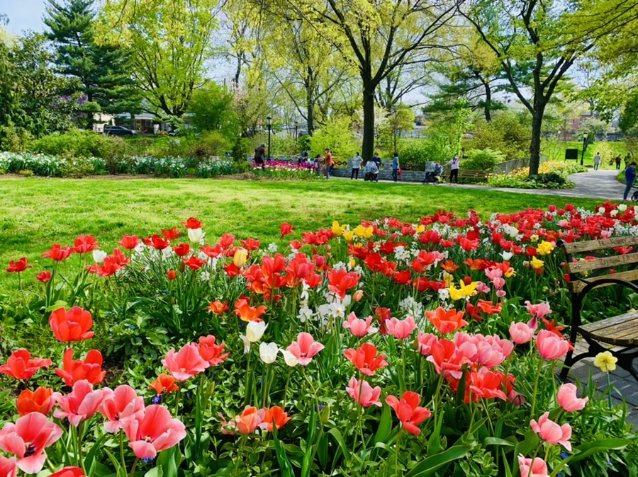 IMG_6911.jpg?type=w966