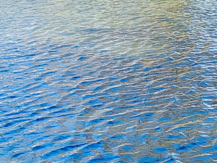 IMG_9891.jpg?type=w966