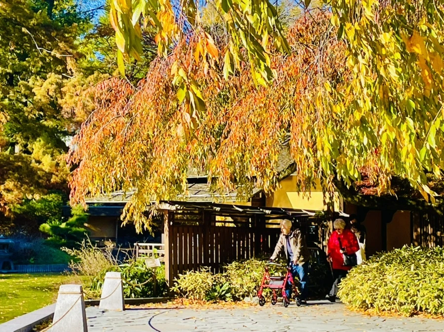 IMG_2031.jpg?type=w966