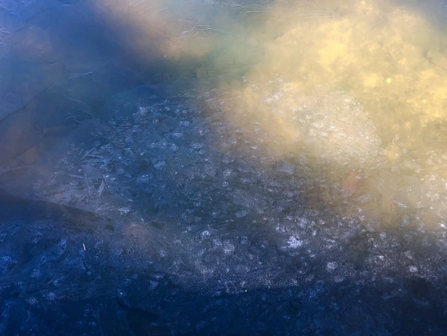 IMG_7907.jpg?type=w966