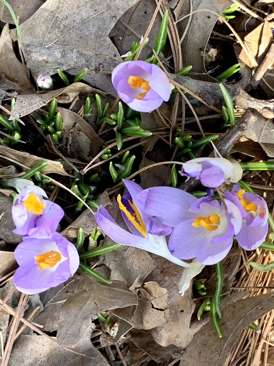 IMG_9636.jpg?type=w966