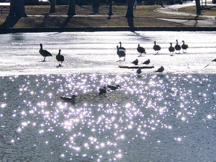 IMG_6676.jpg?type=w966