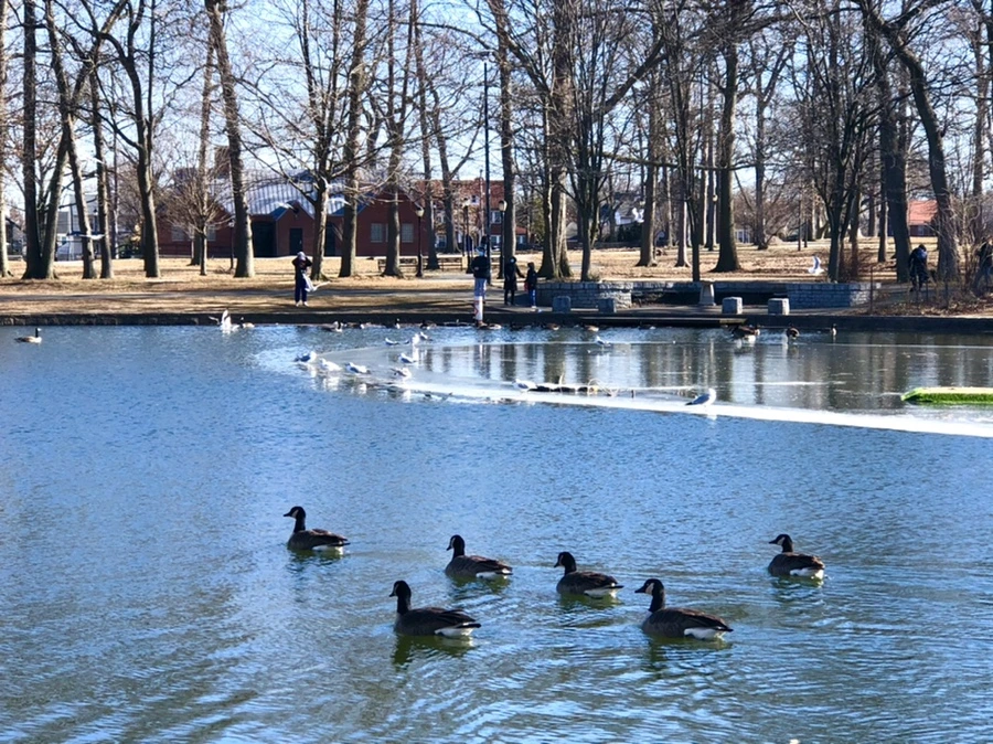 IMG_5543.jpg?type=w966