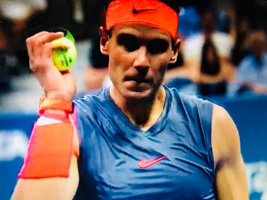 IMG_4003.jpg?type=w966