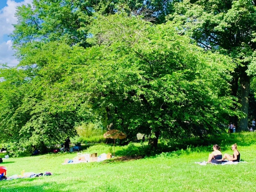 IMG_3417.jpg?type=w966