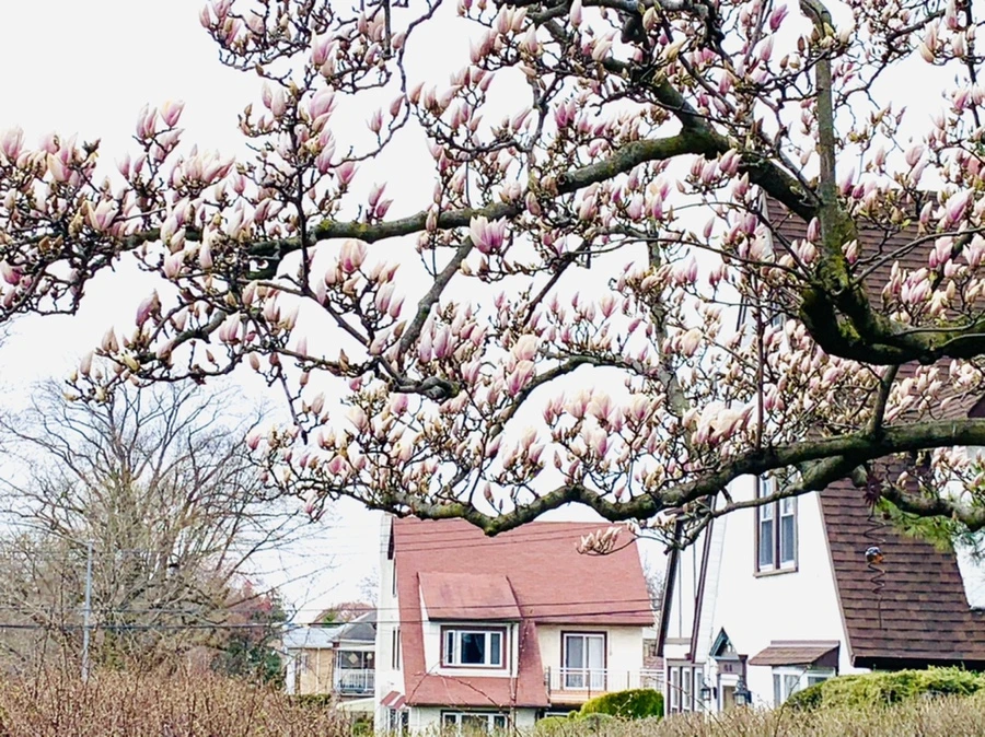 IMG_6603.jpg?type=w966