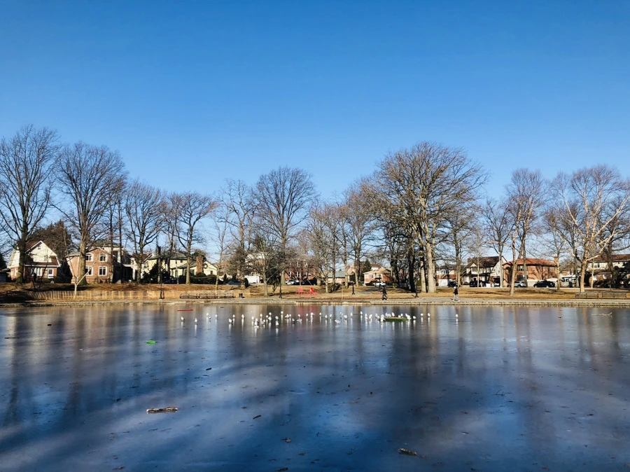 IMG_9162.jpg?type=w966