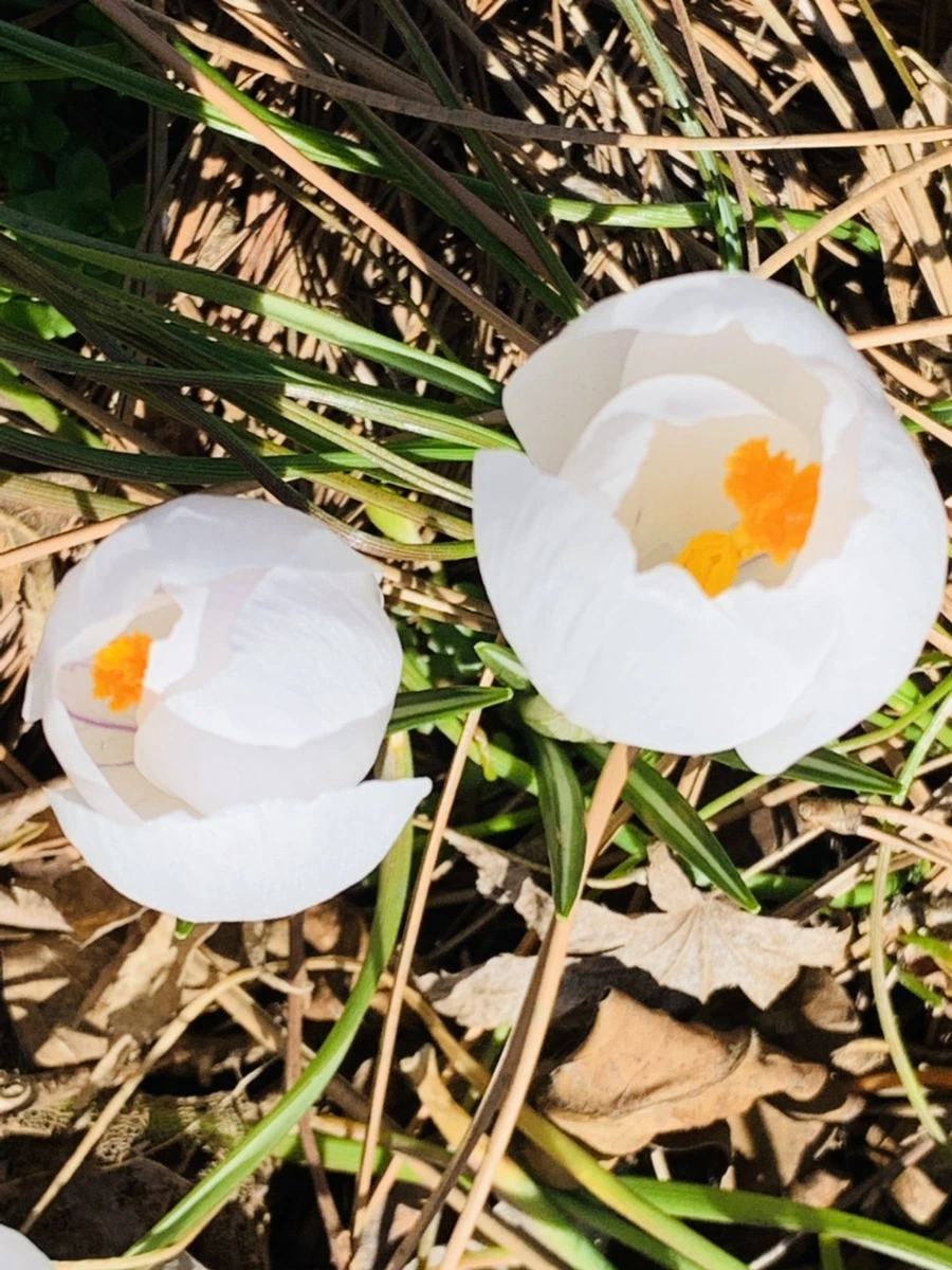 IMG_3300.jpg?type=w966