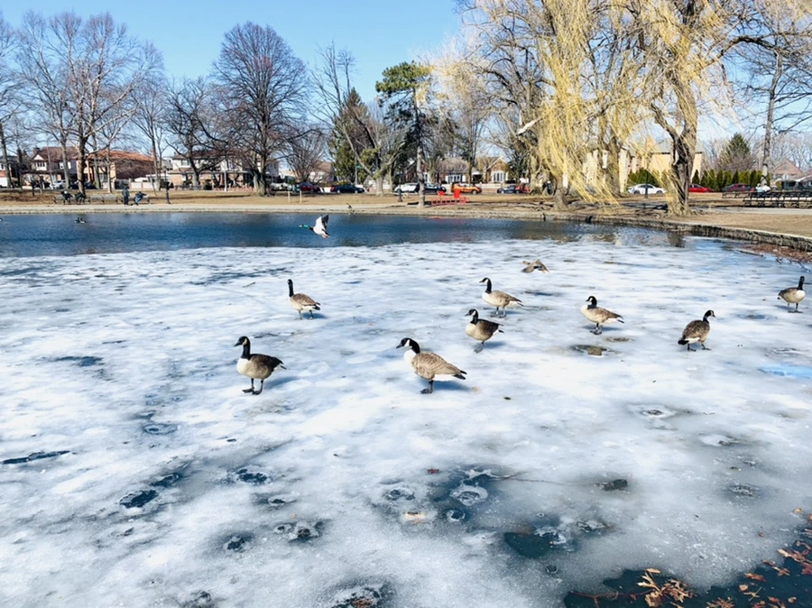 IMG_6911.jpg?type=w966