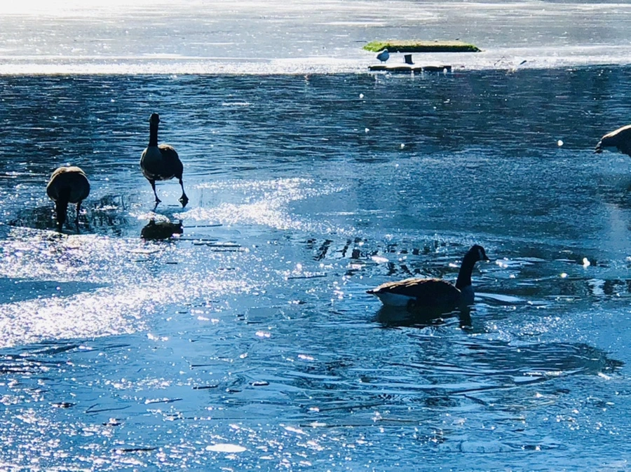 IMG_7996.jpg?type=w966