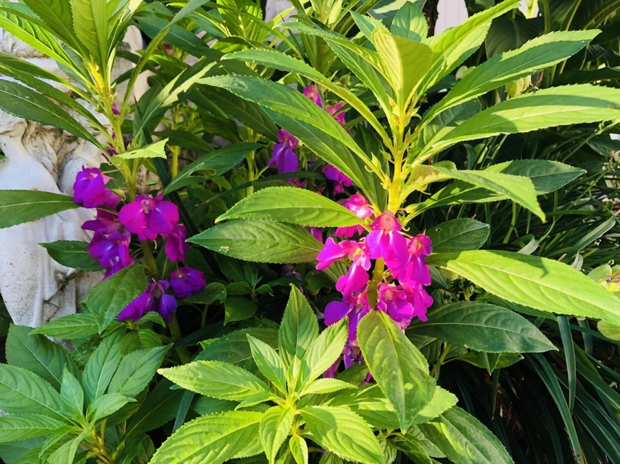 IMG_4679.jpg?type=w966