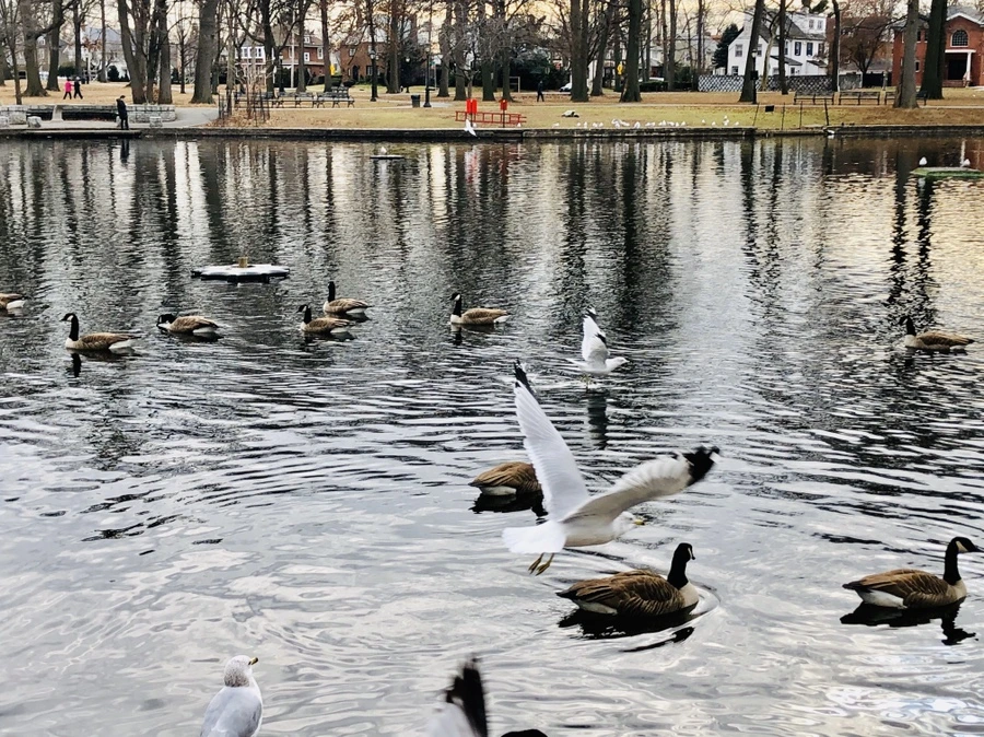 IMG_3267.jpg?type=w966