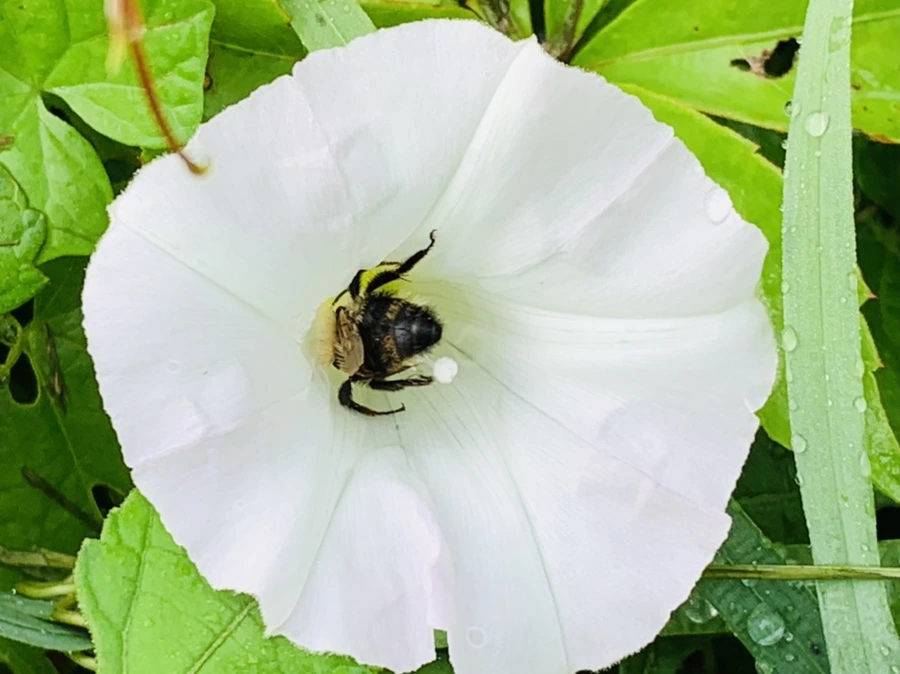 IMG_4456.jpg?type=w966