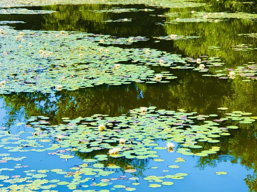 IMG_2328.jpg?type=w966