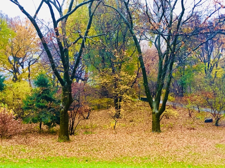 IMG_5737.jpg?type=w966