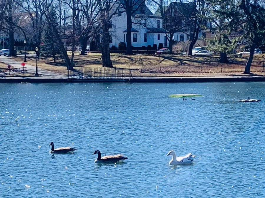 IMG_7609.jpg?type=w966