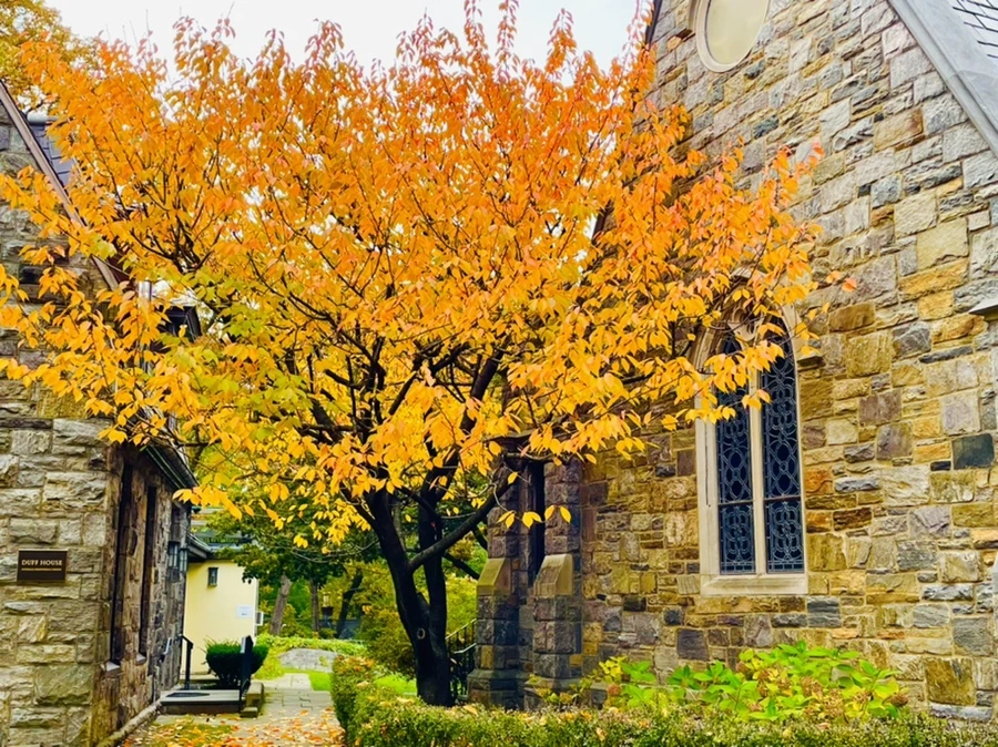 IMG_2290.jpg?type=w966