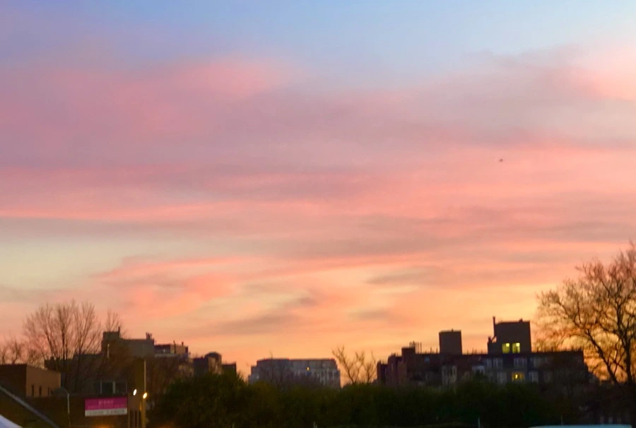 IMG_6561.jpg?type=w966