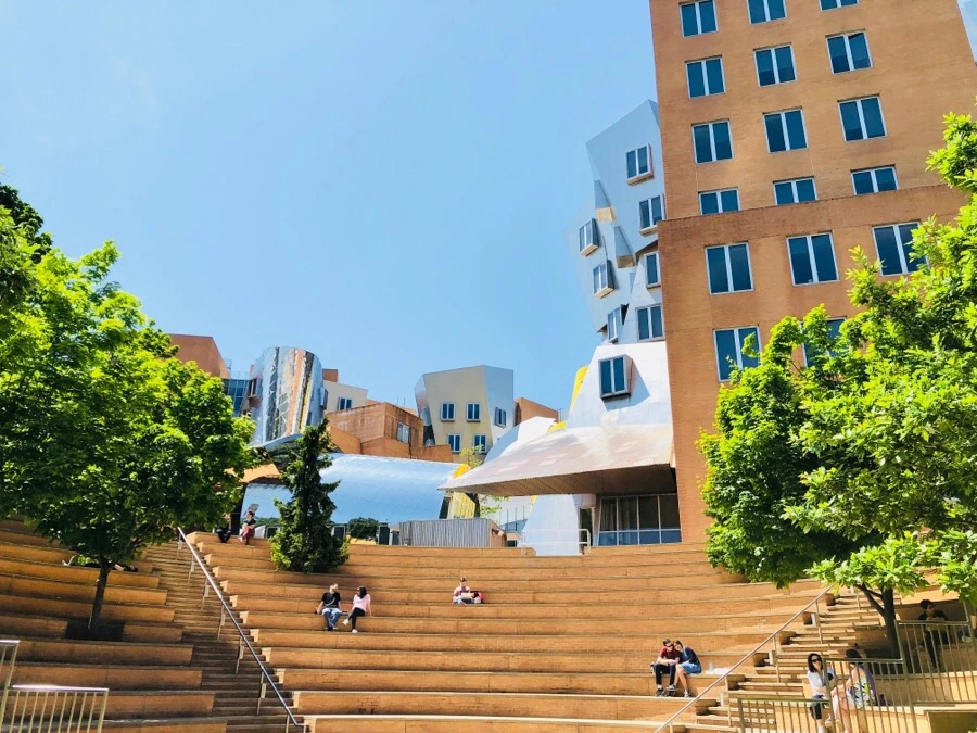 IMG_6911.jpg?type=w966