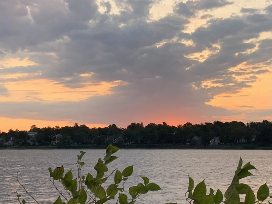 IMG_1677.jpg?type=w966