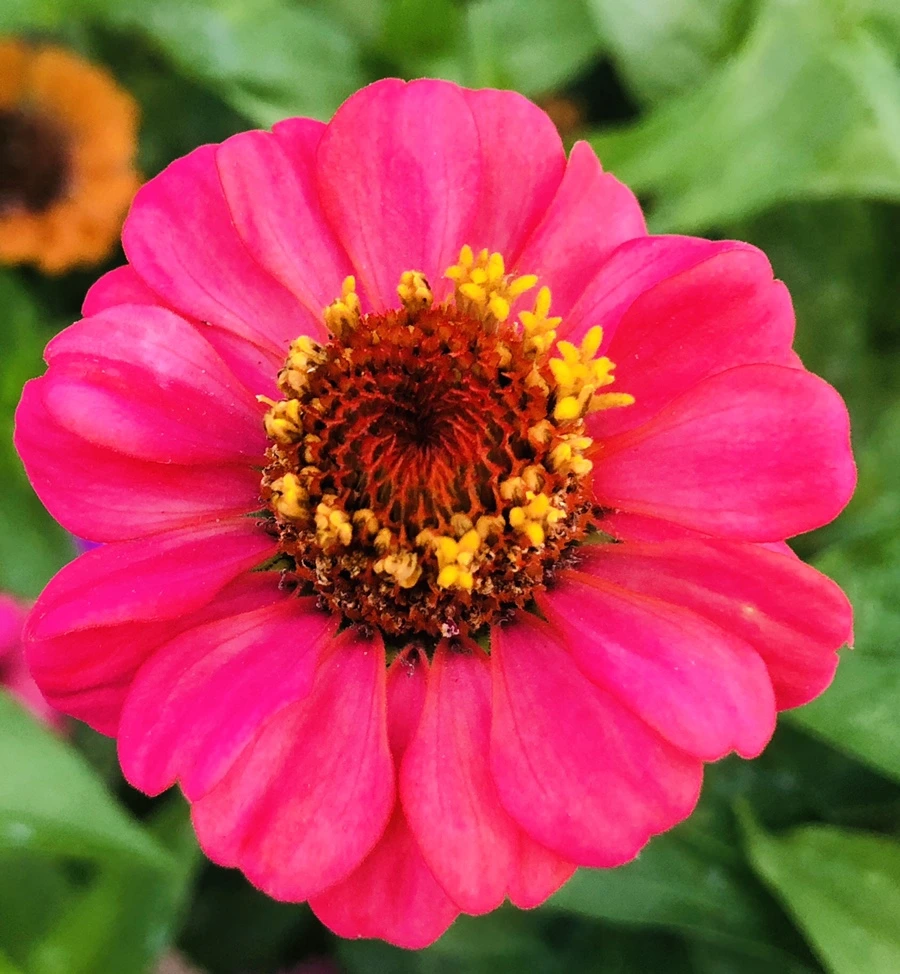 IMG_3644.jpg?type=w966