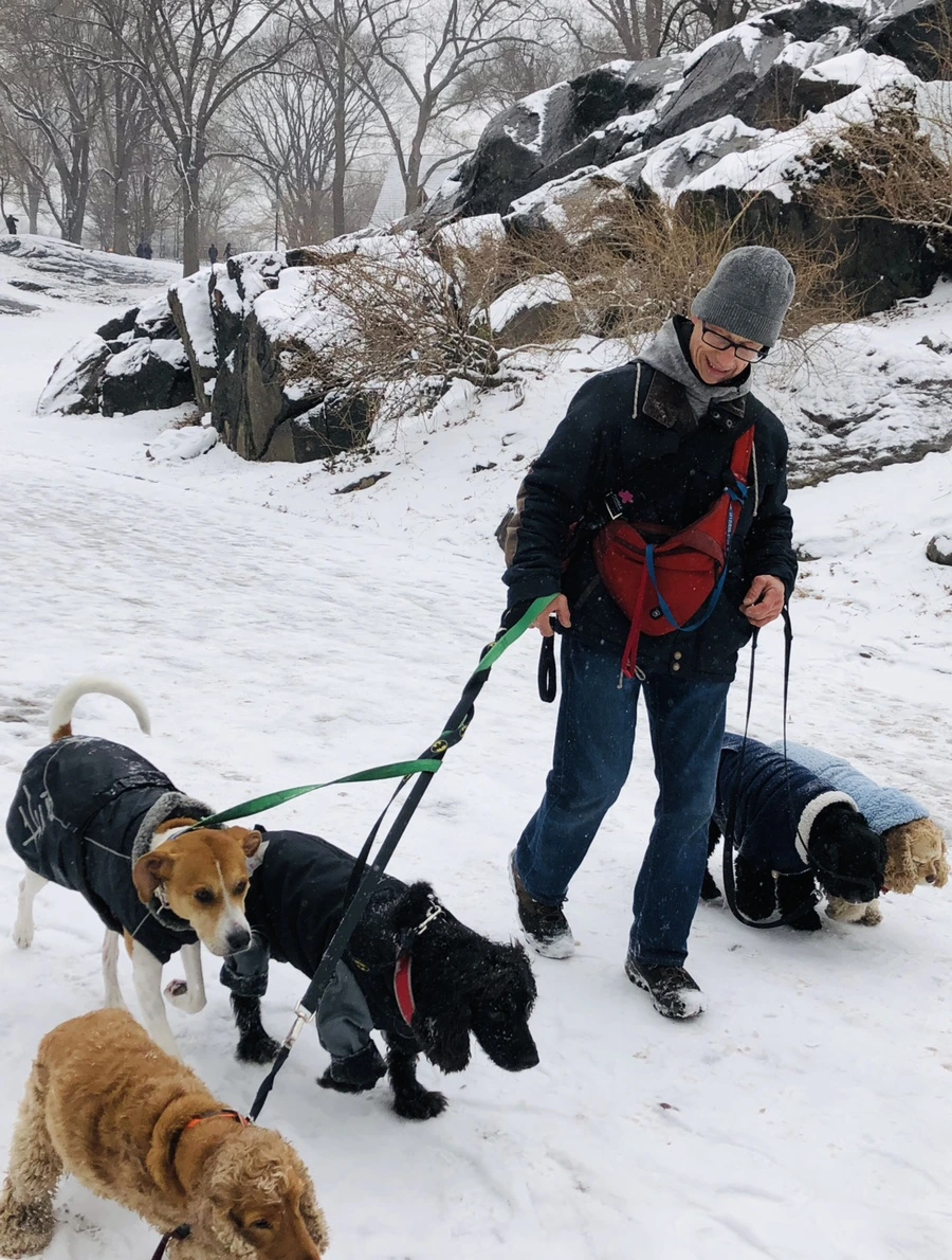 IMG_9539.jpg?type=w966