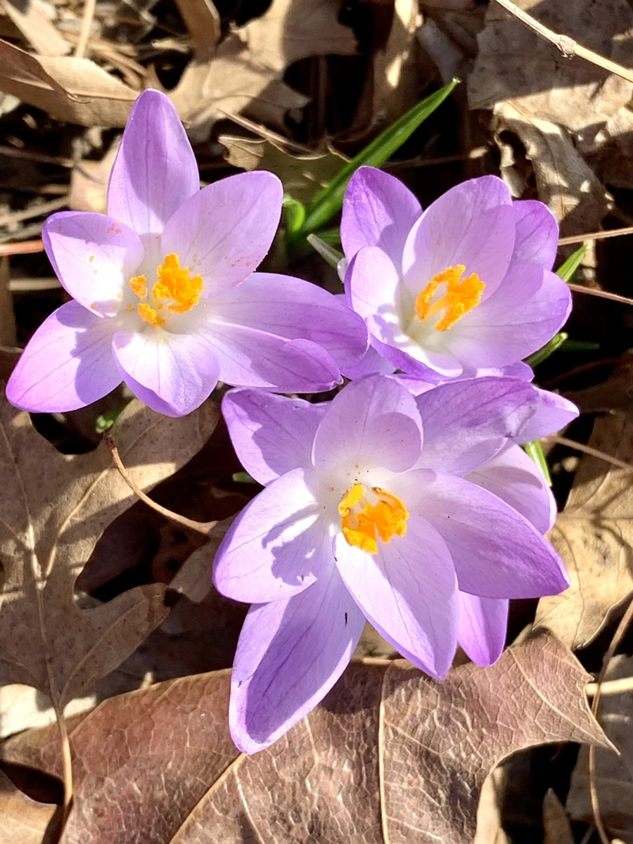 IMG_9625.jpg?type=w966