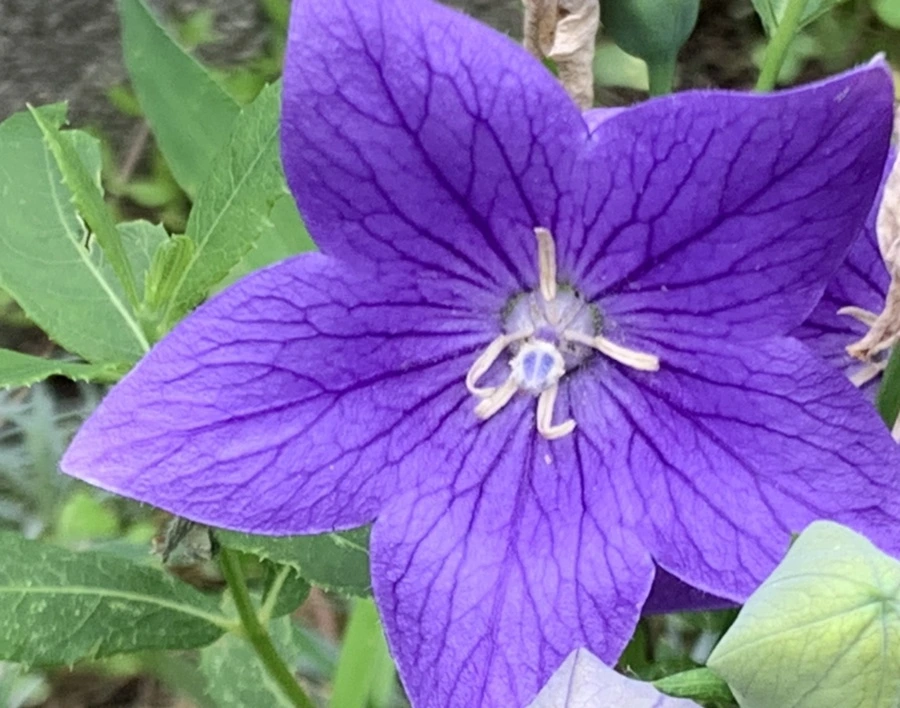 IMG_6099.jpg?type=w966