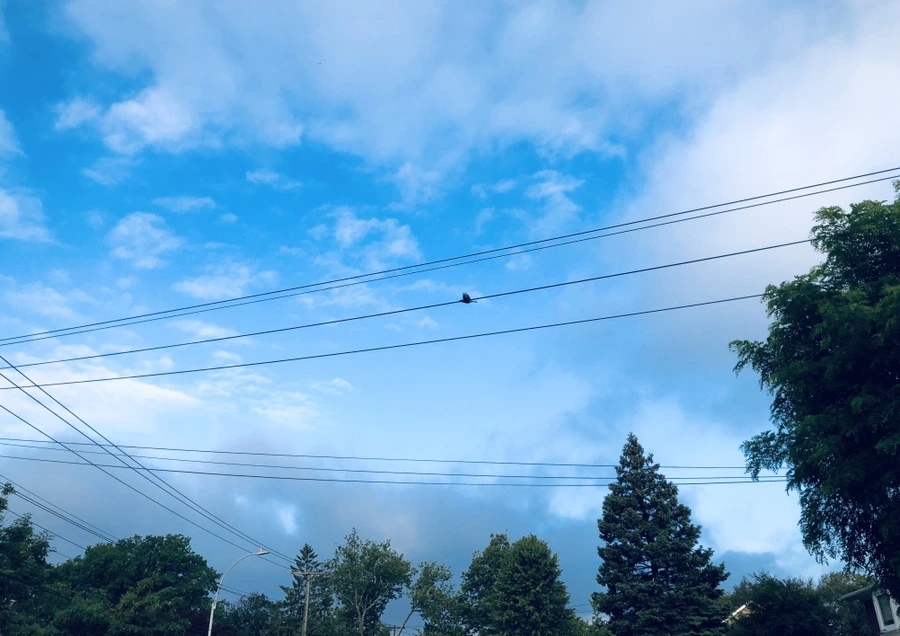 IMG_9678.jpg?type=w966