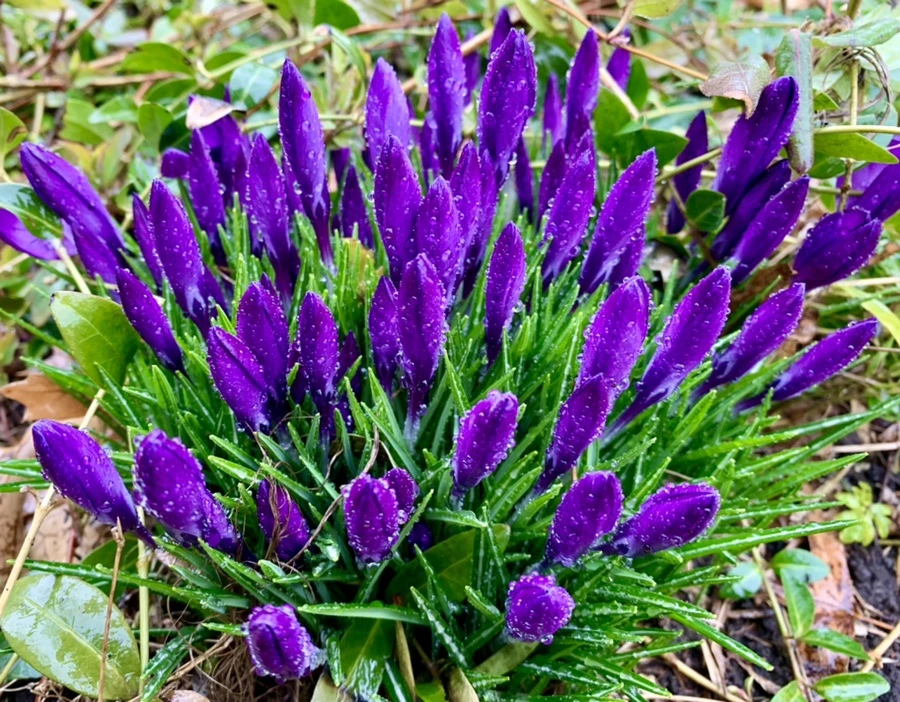 IMG_2016.jpg?type=w966