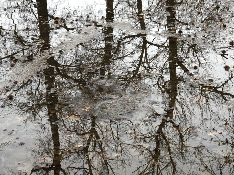 IMG_5658.jpg?type=w966