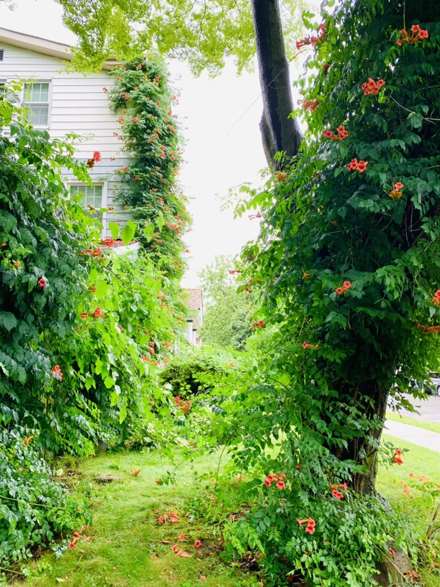 IMG_0029.jpg?type=w966