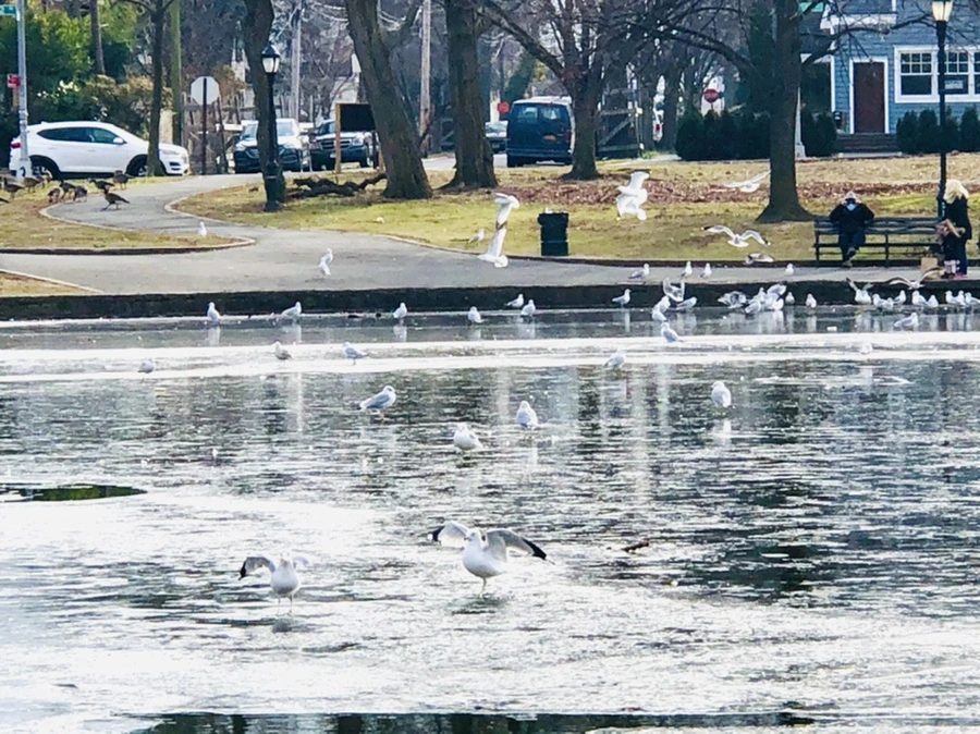 IMG_2046.jpg?type=w966