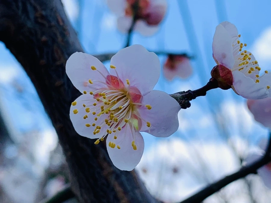 IMG_0988.jpg?type=w966