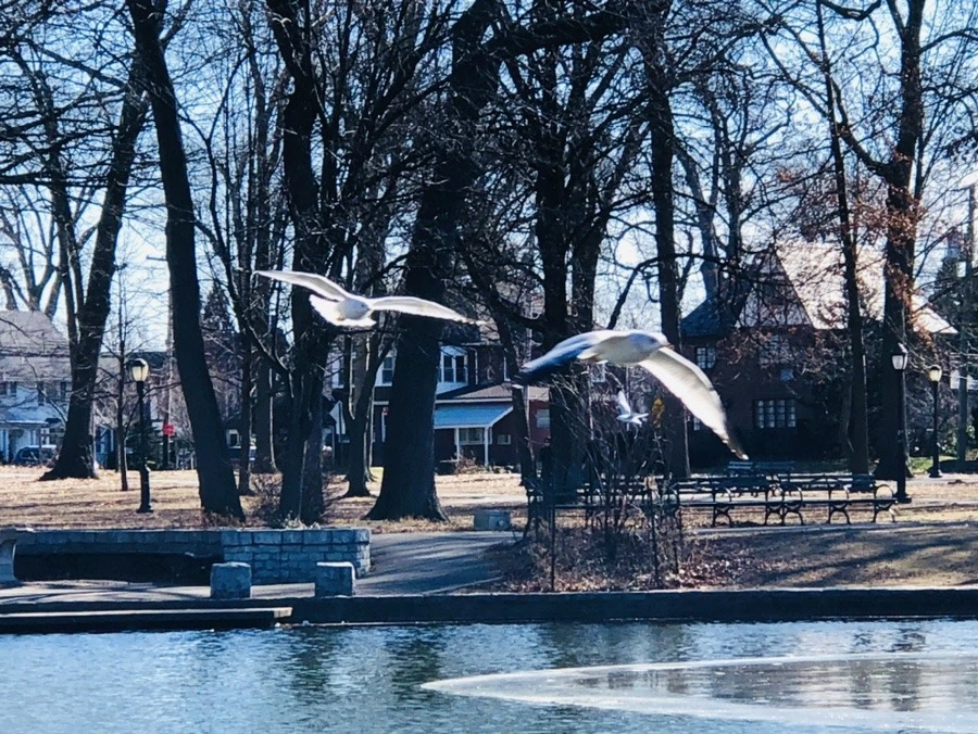 _HVntQtC-9Dc-eCBSc24H3Gdgmg