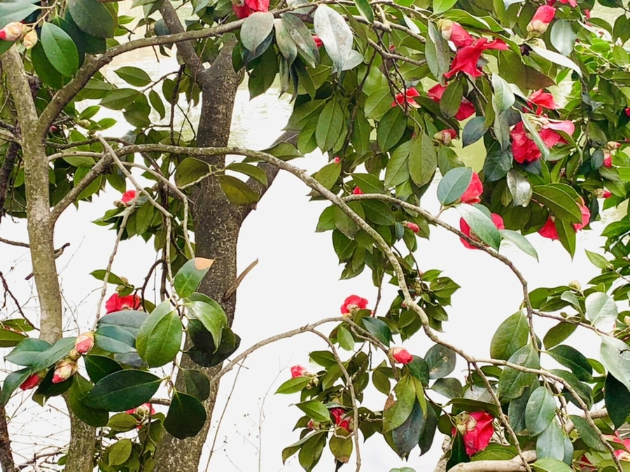 IMG_6444.jpg?type=w966