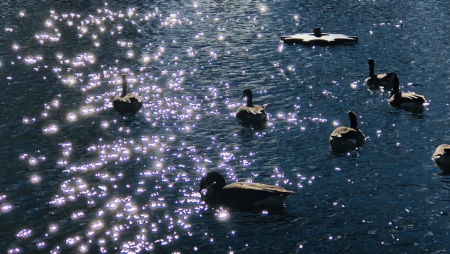 IMG_9188.jpg?type=w966