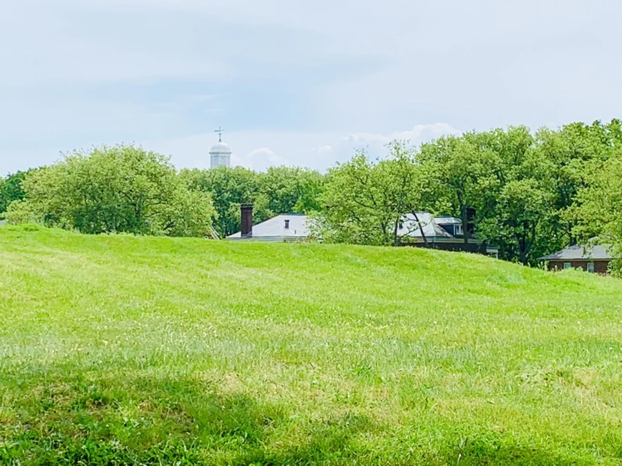 IMG_5153.jpg?type=w966