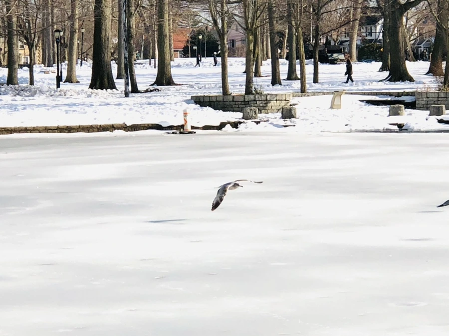 IMG_0335.jpg?type=w966