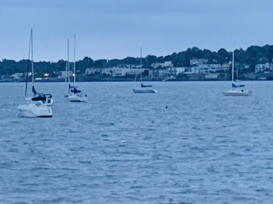 IMG_6757.jpg?type=w966