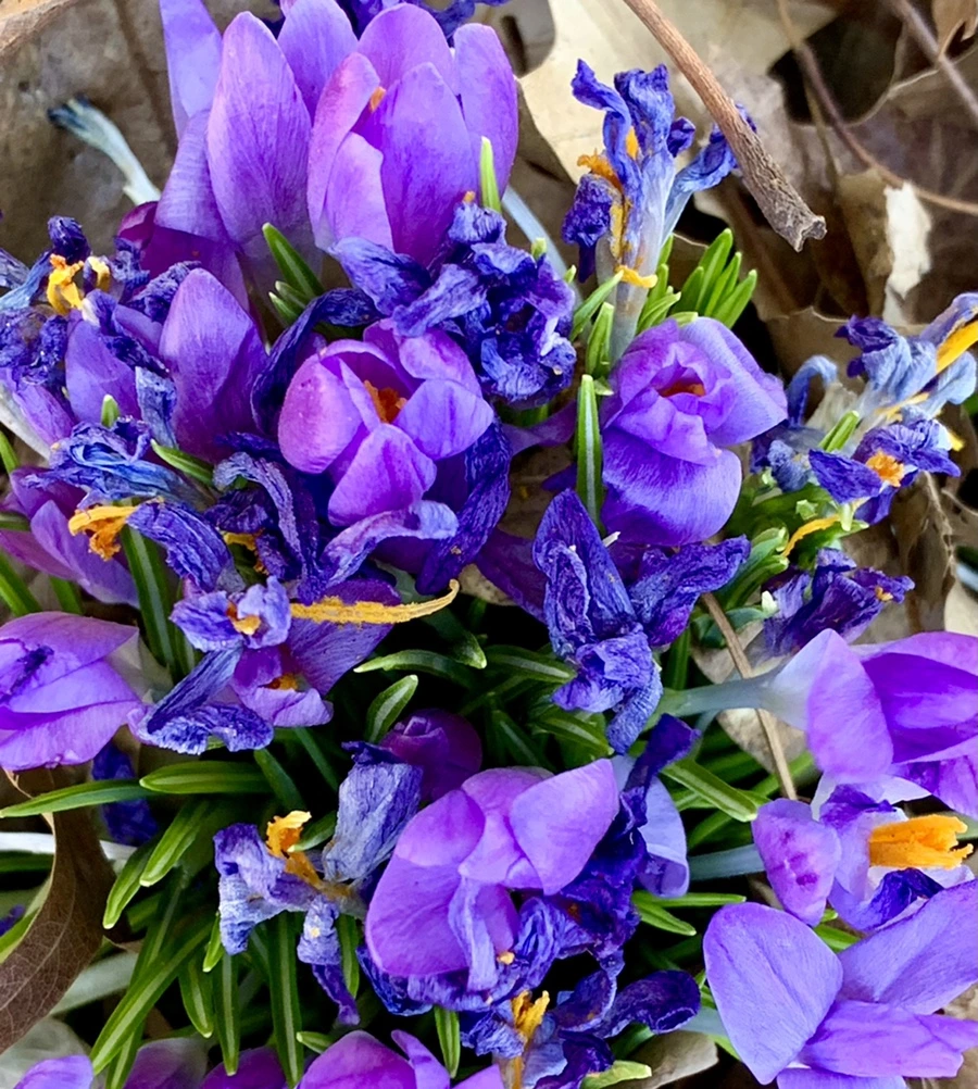 IMG_1429.jpg?type=w966