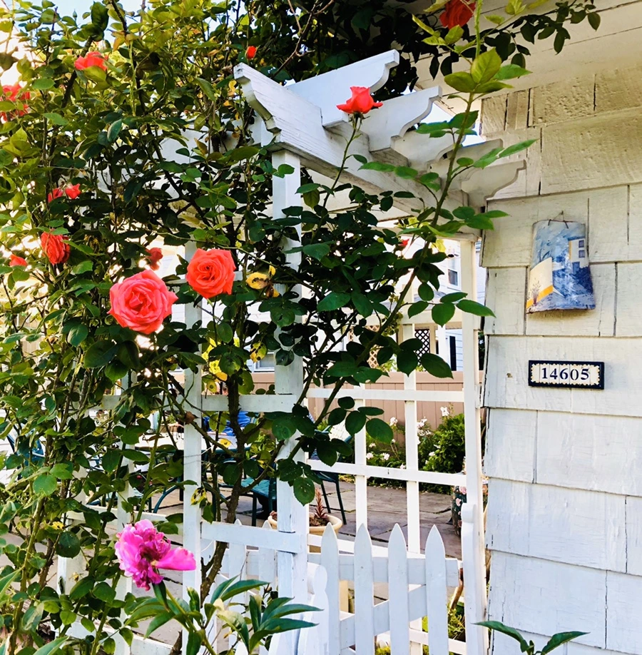 IMG_8587.jpg?type=w966