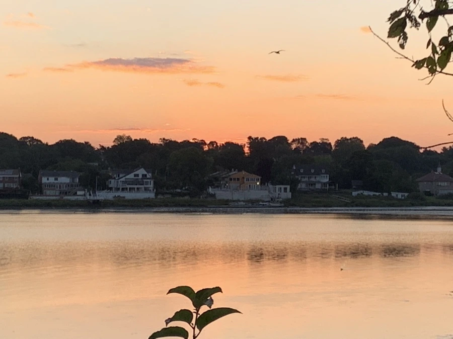 IMG_8835.jpg?type=w966