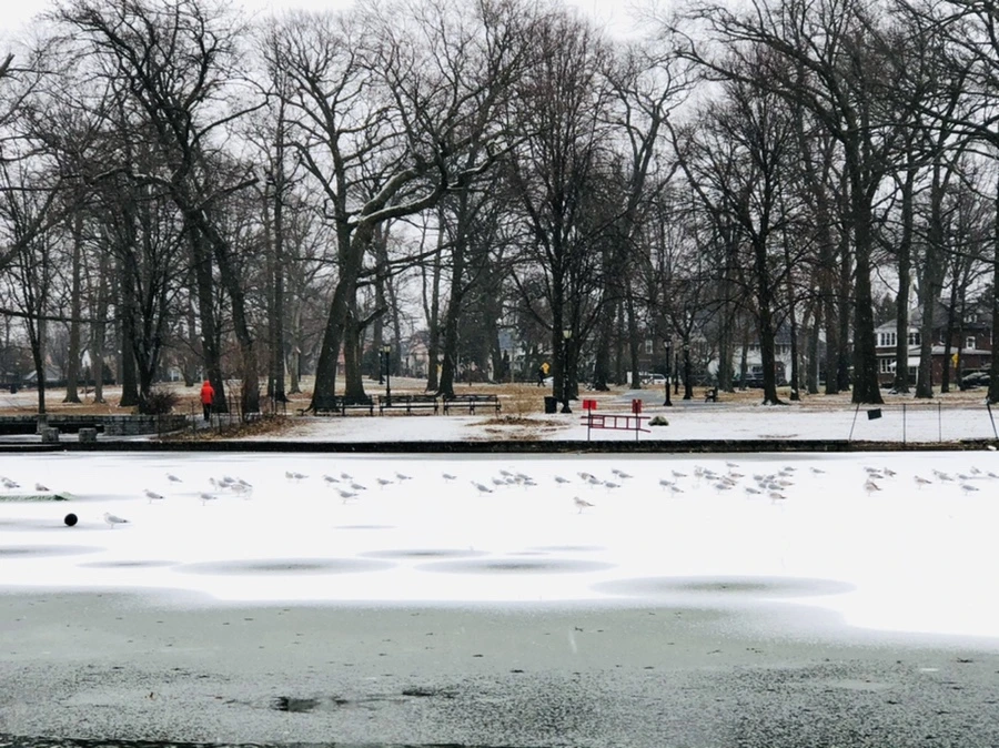 IMG_6103.jpg?type=w966