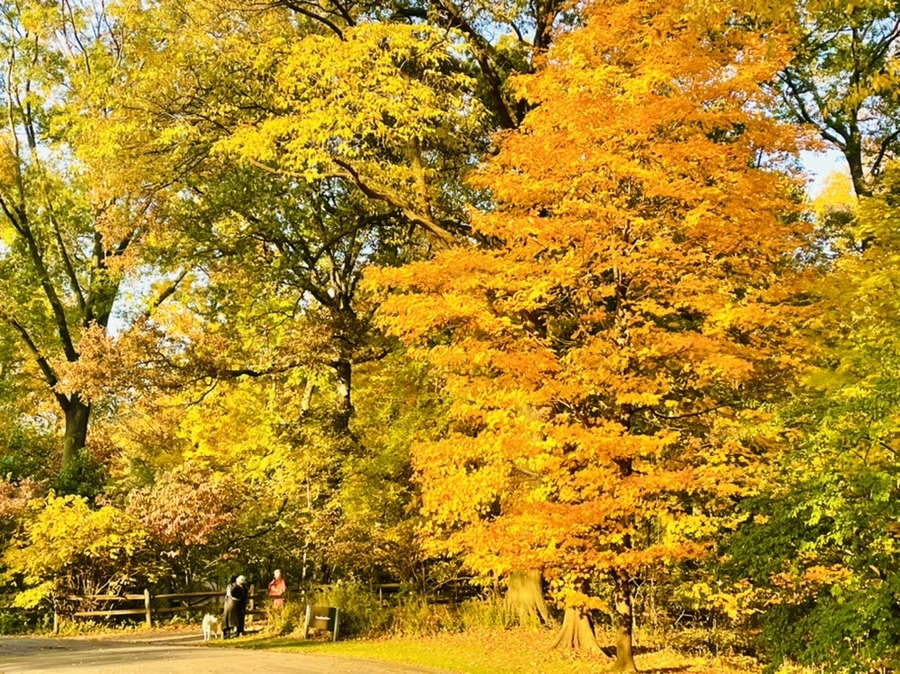 IMG_1908.jpg?type=w966