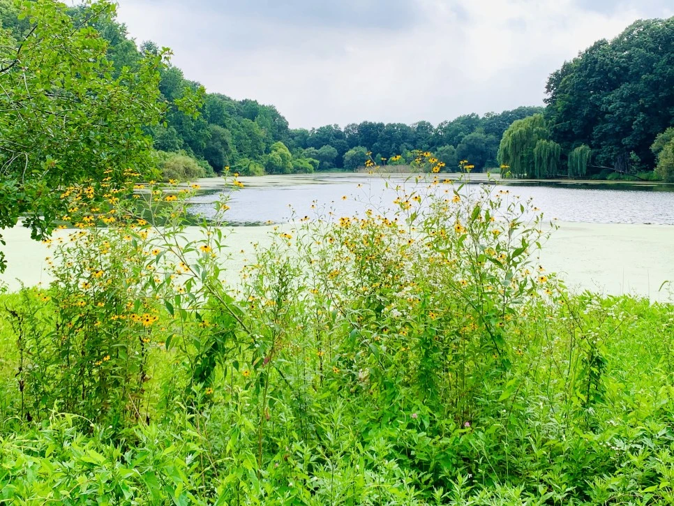 IMG_1322.jpg?type=w966