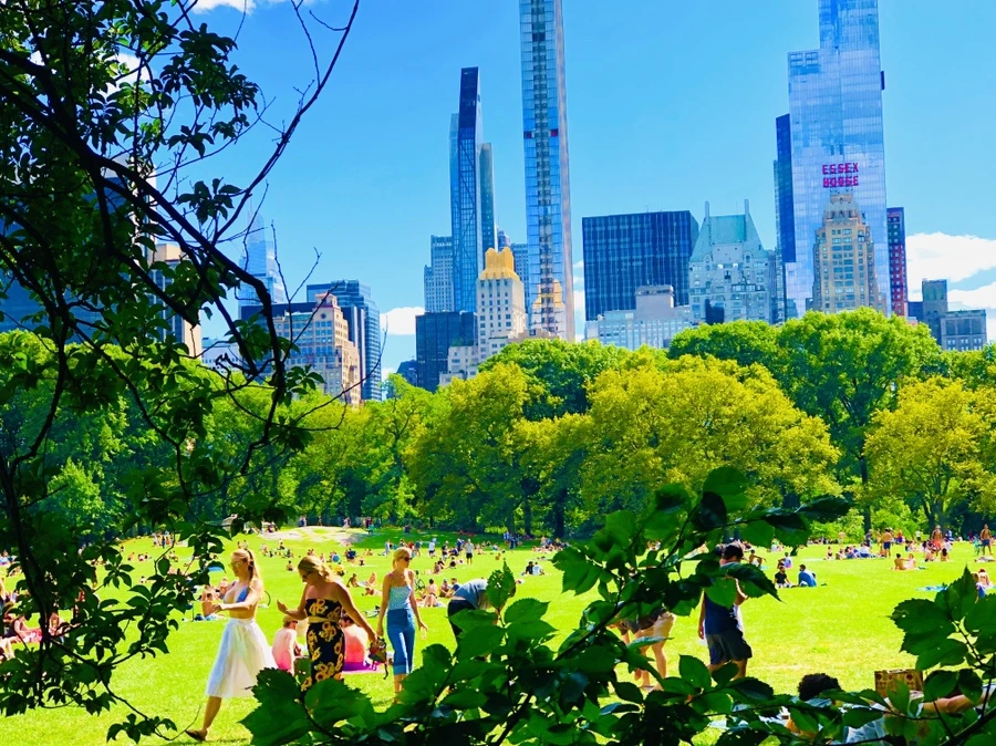 IMG_8876.jpg?type=w966