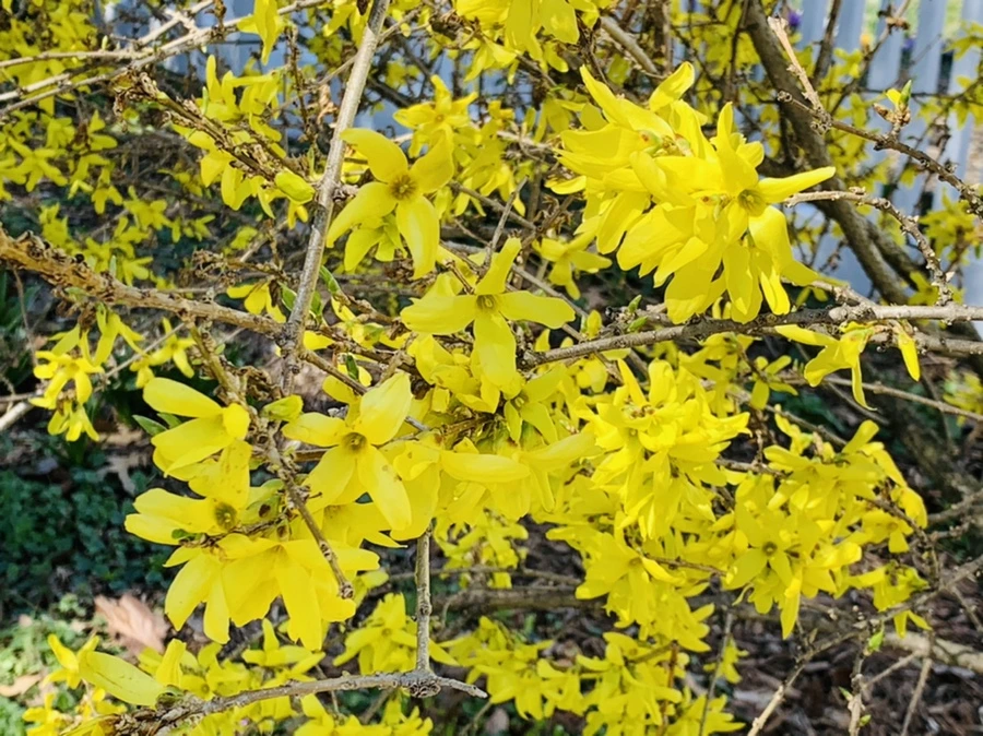 IMG_5718.jpg?type=w966